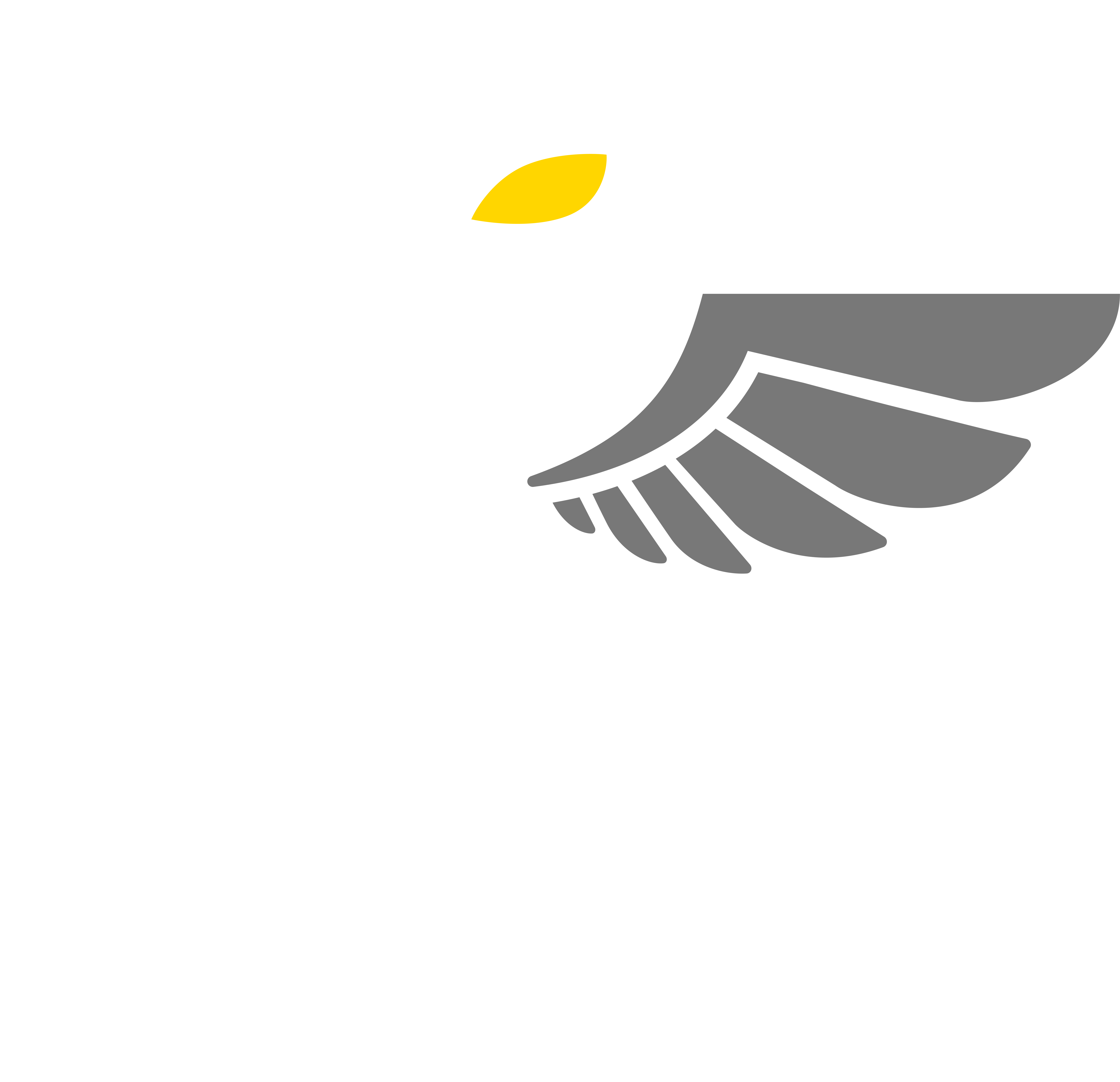 SilentSwap